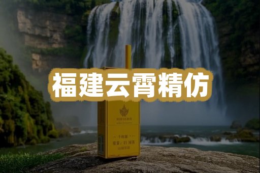 福建云霄精仿